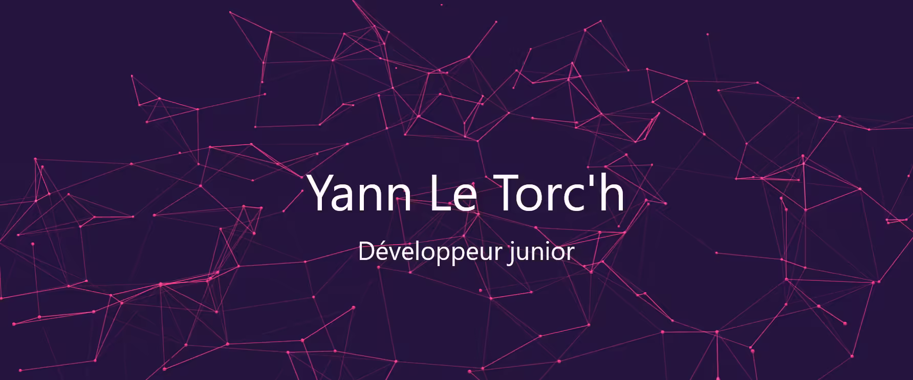 Aperçu du projet portfolio de Yann Le Torc'h